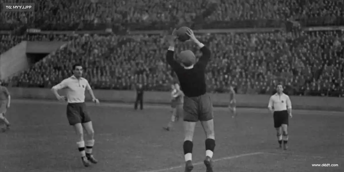 威客电竞——从平凡到闪耀,只差一场全力以赴!🏆